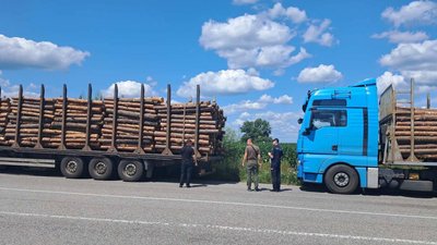 На Житомирщині вантажівки під виглядом дров перевозили круглий ліс — поліція відкрила кримінальну справу