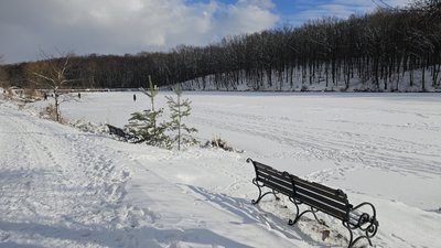 Сніг взимку на Харківщині