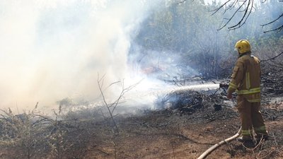 За добу на Херсонщині зафіксували 12 пожеж в екосистемах