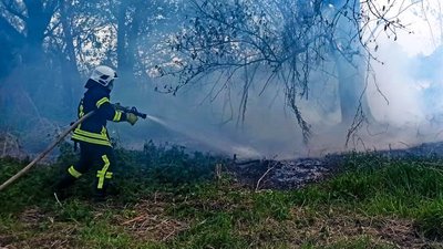 На Черкащині зафіксували вісім пожеж сухостою та сміття