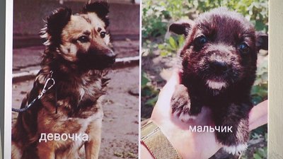 У Херсоні відбулась соціальна акція "Без прикрас"