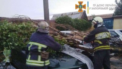 У Бердянську пошкоджені внаслідок буревію лінії електропередач відновлено У Бердянську пошкоджені внаслідок буревію лінії електропередач відновлено