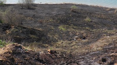 У селі Лупареве, що на Миколаївщині, понад чотири гектари очерету і трави охопила пожежа У селі Лупареве, що на Миколаївщині, понад чотири гектари очерету і трави охопила пожежа