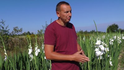 Від нарцизів до гладіолусів. Прикарпатець Василь Яковішак вирощує сезонні квіти Від нарцизів до гладіолусів. Прикарпатець Василь Яковішак вирощує сезонні квіти