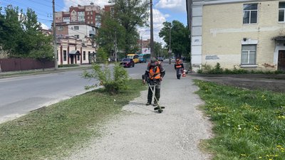 Тендер на покіс трави у Полтаві: скільки витратять 2024-го