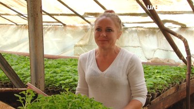 Квітникарка Оксана Микуленко Квітникарка Оксана Микуленко
