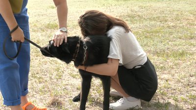 Лапа допомоги: у Черкасах собаки реабілітуватимуть дітей з аутизмом Лапа допомоги: у Черкасах собаки реабілітуватимуть дітей з аутизмом