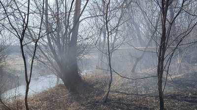 На Івано-Франківщині через пожежу сухостою чотири села залишилися без газу