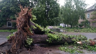 Часткове знеструмлення та повалені дерева - результати негоди в Сумах Часткове знеструмлення та повалені дерева - результати негоди в Сумах