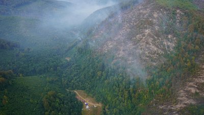 Понад 200 людей та 20 одиниць техніки продовжують гасити лісову пожежу на Закарпатті