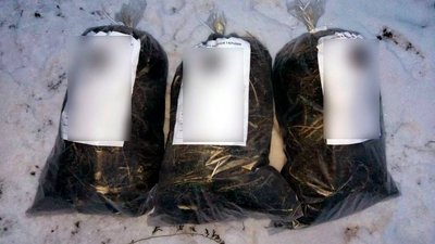 Три кілограми канабісу зберігав удома житель Херсонщини Три кілограми канабісу зберігав удома житель Херсонщини