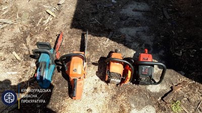 Жителів Новоукраїнського району судитимуть за незаконну вирубку дерев Жителів Новоукраїнського району судитимуть за незаконну вирубку дерев