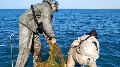 В Одесі з браконьєрських сіток визволили понад сотню крабів, ставрид та кефалей