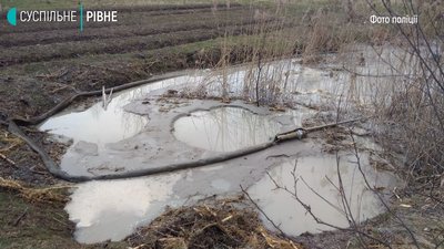 Троє чоловіків видобували бурштин на городі в жительки Клесова