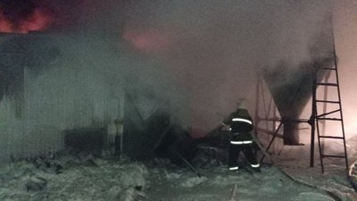 Пожежа на фермі в Прилуцькому районі: згоріли близько 300 свиней Пожежа на фермі в Прилуцькому районі: згоріли близько 300 свиней