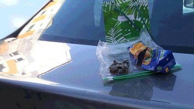 На Львівщині дитина отруїлася соком із пліснявою На Львівщині дитина отруїлася соком із пліснявою