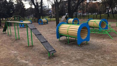 Майданчик для вигулу собак у Чернігові