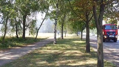 У Сумах біля озера Чеха здійнялася пожежа У Сумах біля озера Чеха здійнялася пожежа