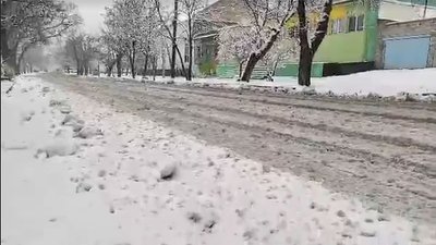 Рівень небезпеки погодних умов в Миколаївській області підвищили з "жовтого" до "помаранчевого" Рівень небезпеки погодних умов в Миколаївській області підвищили з "жовтого" до "помаранчевого"
