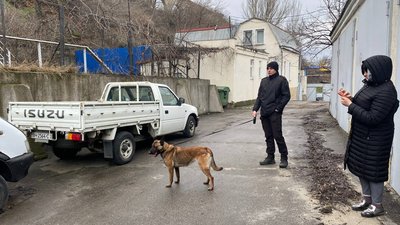 В одеському порту пройшли тренування службових собак В одеському порту пройшли тренування службових собак