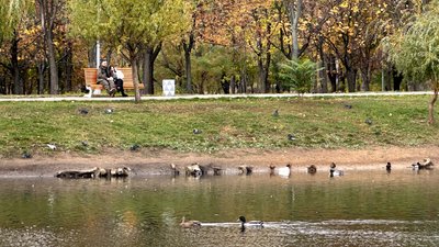 Якою буде погода на Донеччині