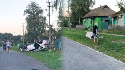 "Місцеві плачуть, а п’яний водій сміється": у Сновській громаді легковик збив двох корів