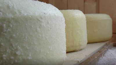 Сім видів овечого сиру виготовляє подружжя на Прикарпатті Сім видів овечого сиру виготовляє подружжя на Прикарпатті