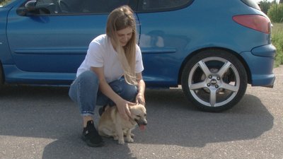 "Візьми собаку на роботу": черкасці долучилися до Всесвітньої акції