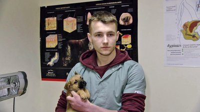 Вперше стриг єнота: ветеринар з Херсона лікує та допомагає тваринам у Луцьку Вперше стриг єнота: ветеринар з Херсона лікує та допомагає тваринам у Луцьку