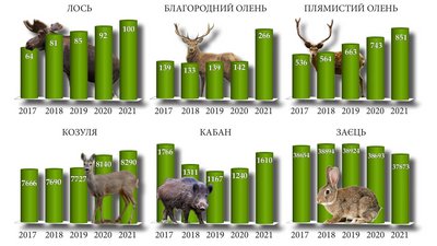 звірі у черкаських лісах звірі у черкаських лісах