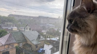 Погода на Рівненщині 15 липня