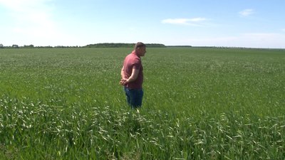 Продовольчий фронт: на Черкащині завершилася посівна