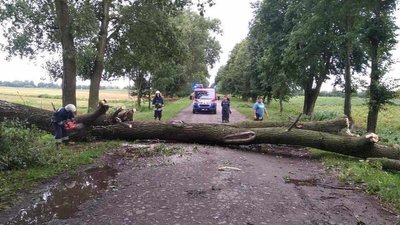Підтоплені будинки та повалені дерева. Наслідки негоди на Вінниччині Підтоплені будинки та повалені дерева. Наслідки негоди на Вінниччині