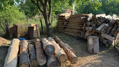 Незаконно зрубані дерева