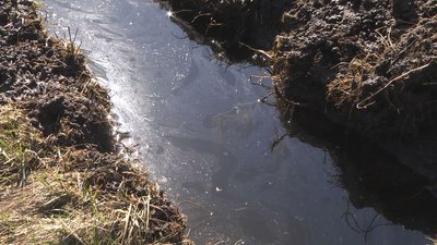 У волинську річку потрапили трансформаторні мастила. Чи критичне забруднення У волинську річку потрапили трансформаторні мастила. Чи критичне забруднення