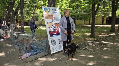 У Миколаєві на виставці-прилаштуванні тварин нові родини знайшли 13 собак і котів У Миколаєві на виставці-прилаштуванні тварин нові родини знайшли 13 собак і котів