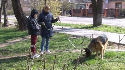 Тваринам із луцької "Ласки" Тваринам із луцької "Ласки"