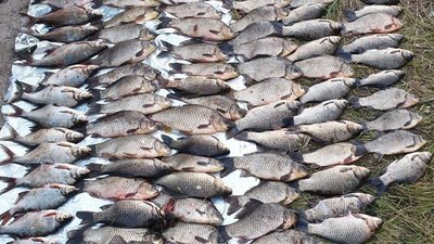 На Дніпрі поблизу Черкас затримали рибалку із понад 50 кг риби. Розпочали кримінальне розслідування