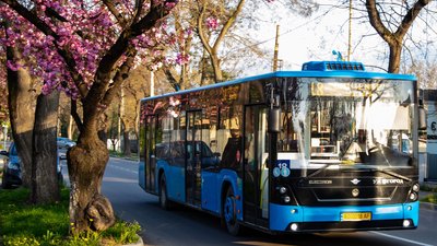 12 грн за квиток: в Ужгороді зросла вартість проїзду громадським транспортом