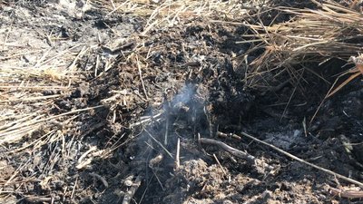 На Полтавщині гасять 2 гектари торфовища