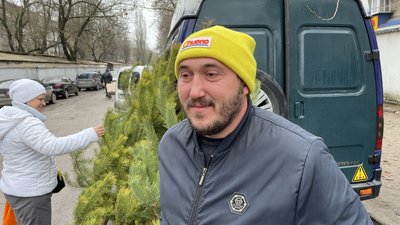 херсон, ялинки херсон, ялинки