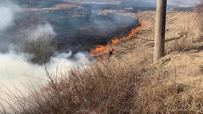 На Львівщині за минулу добу загасили 18 пожеж сухої трави