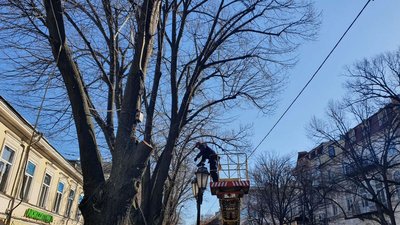 В центрі Одеси комунальники прибрали з дерев ілюмінацію та дроти