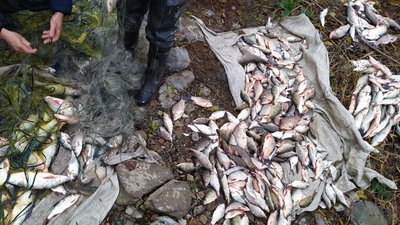 На озері Кугурлуй на Одещині затримали чоловіка, який ловив рибу забороненими сітками