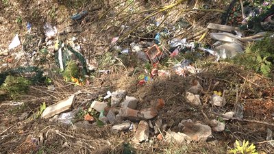 У Глибочицький громаді на Житомирщині оголосили про початок весняної толоки У Глибочицький громаді на Житомирщині оголосили про початок весняної толоки