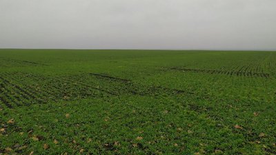 З січня для сільгоспвиробників ввели новий податок на землю. Скільки платитимуть