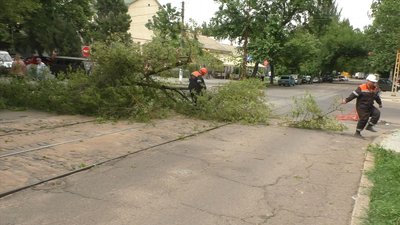 У Миколаєві вітер зупинив рух трамваїв У Миколаєві вітер зупинив рух трамваїв
