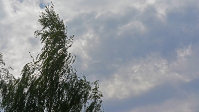 Погода Луцьк 6-11 липня: синоптики попередили про нестійку та вітряну погоду