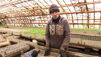 У Житомирі комунальники планують висадити більше 100 тисяч рослин У Житомирі комунальники планують висадити більше 100 тисяч рослин