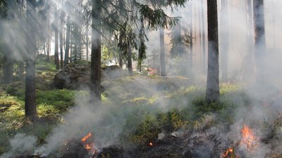 Рятувальники Вінниччини попереджають про пожежну небезпеку